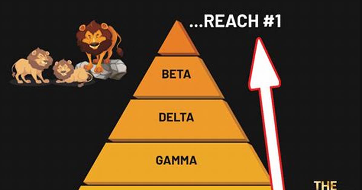 How Do You Become Alpha?
