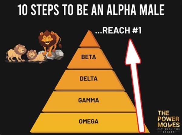 How Do You Become Alpha?