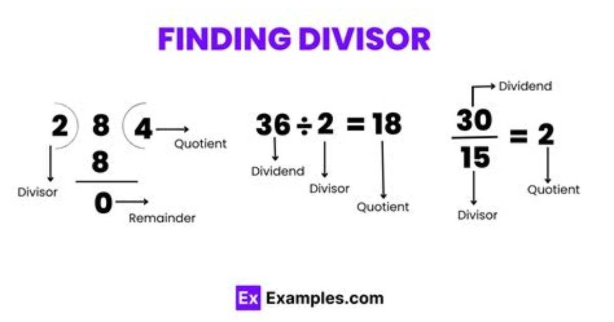 How Do You Calculate Divisors?