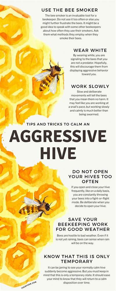 How Do You Calm an Aggressive Honey Bee?