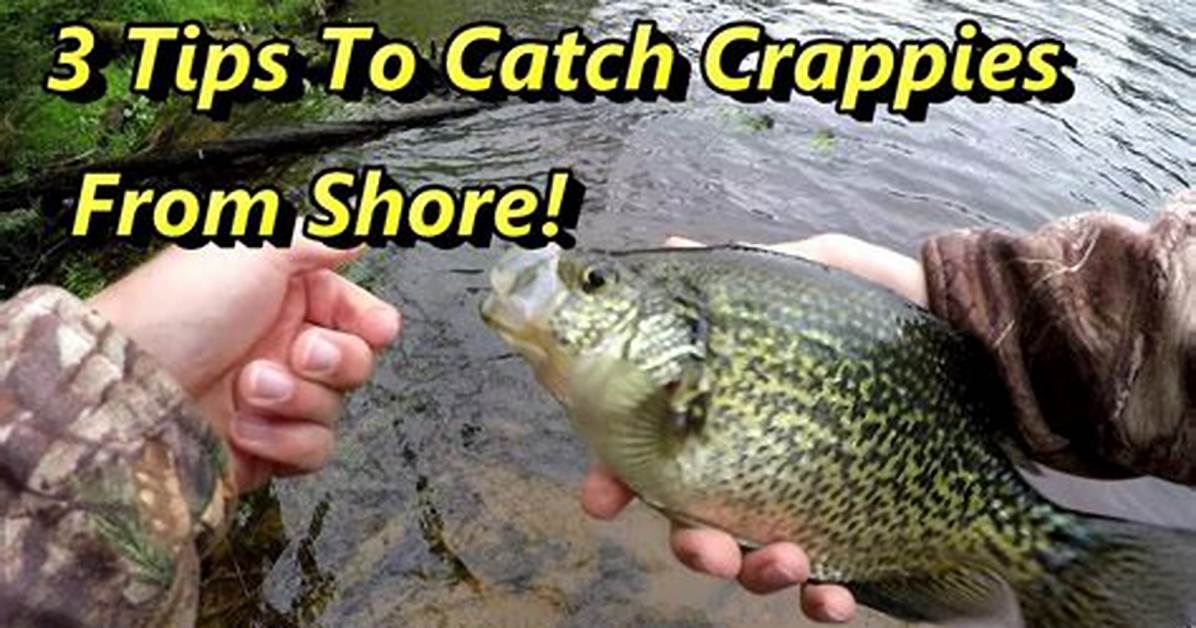 How Do You Catch Crappies?