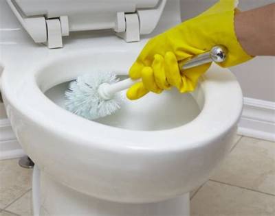 How Do You Clean a Toilet with Vinegar?