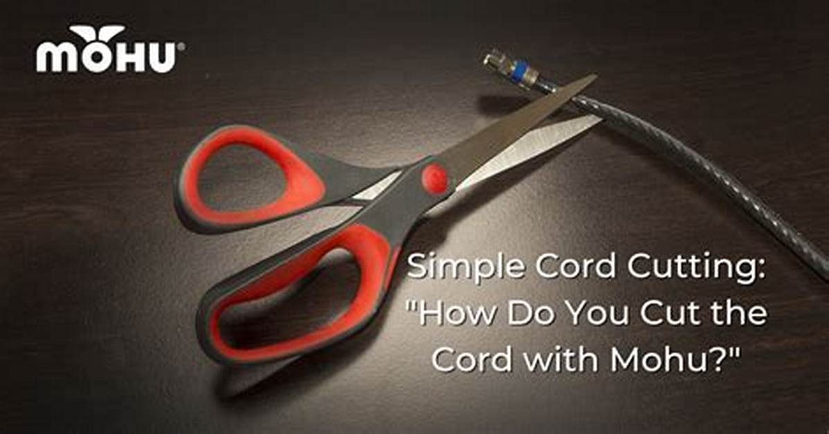How Do You Cut the Cord and Never Pay for Cable Again?
