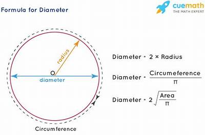 How Do You Find the Diameter of a Quarter Coin?