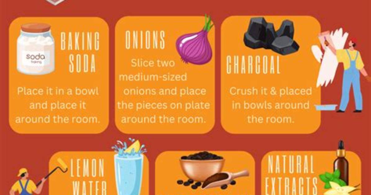 How Do You Get Rid of Smell in Air?