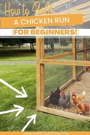 How Do You Keep a Chicken Run from Smelling?