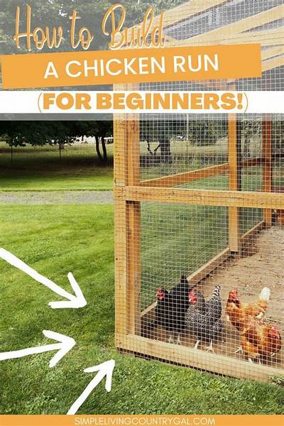 How Do You Keep a Chicken Run from Smelling?
