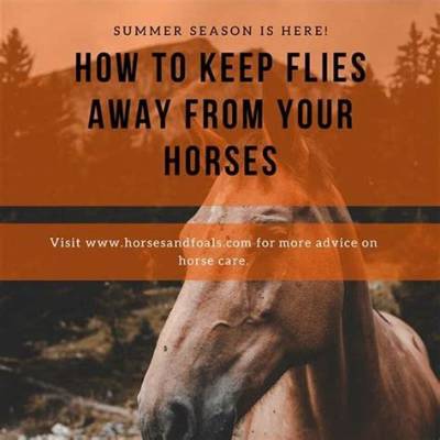 How Do You Keep a Horse from Pawing Water Trough?