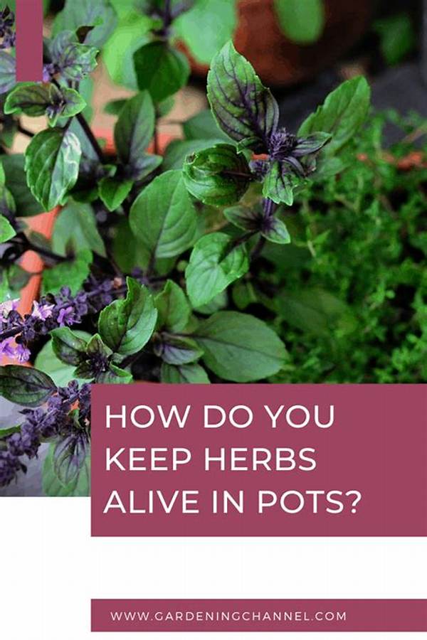 How Do You Keep Herbs Alive All Year?