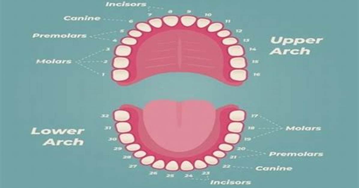 How Do You Know If a Tooth Can't Be Saved?