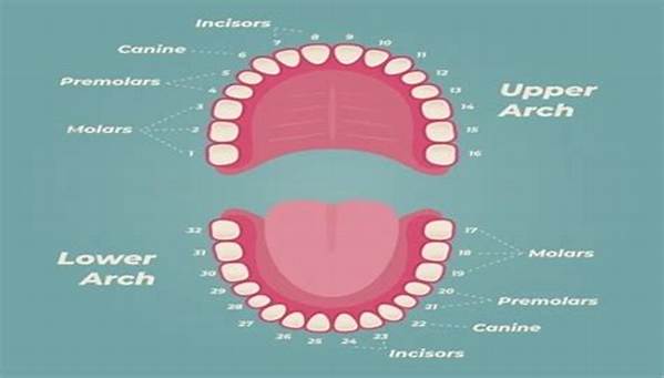 How Do You Know If a Tooth Can't Be Saved?