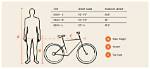 How Do You Know If Your Bike Chain Has Stretched?