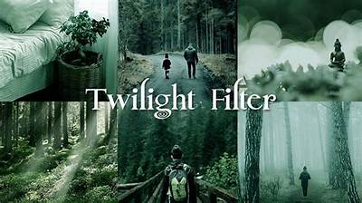 How Do You Make a Twilight Filter?