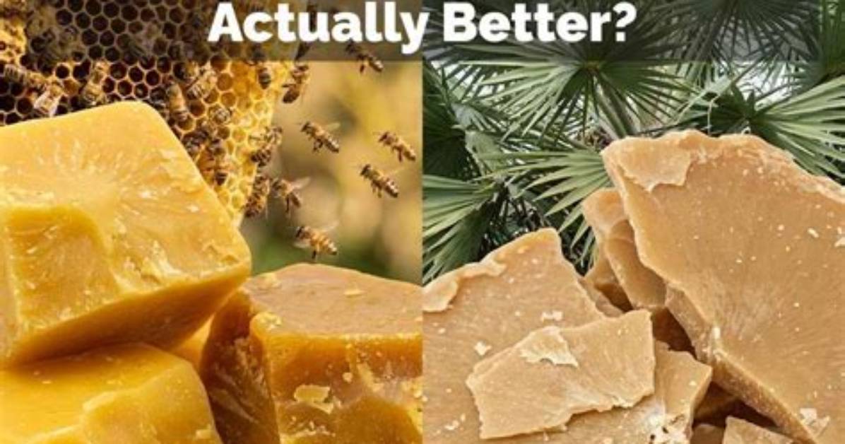 How Do You Mix Beeswax & Carnauba Wax?