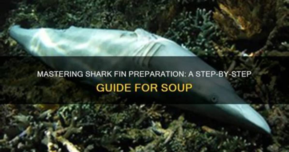 How Do You Prepare Shark Fins?