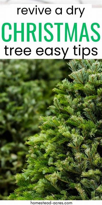 How Do You Revive a Dry Christmas Tree?