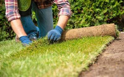 How Do You Roll Sod Without a Roller?