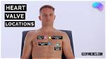 How Do You Rule out Heart Chest Pain?