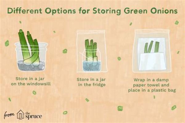 How Do You Store Green Onions in the Freezer?