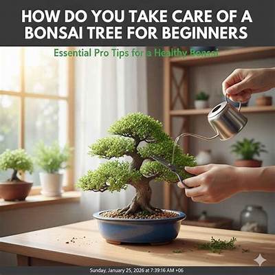 How Do You Take Care of a Diesel Car?