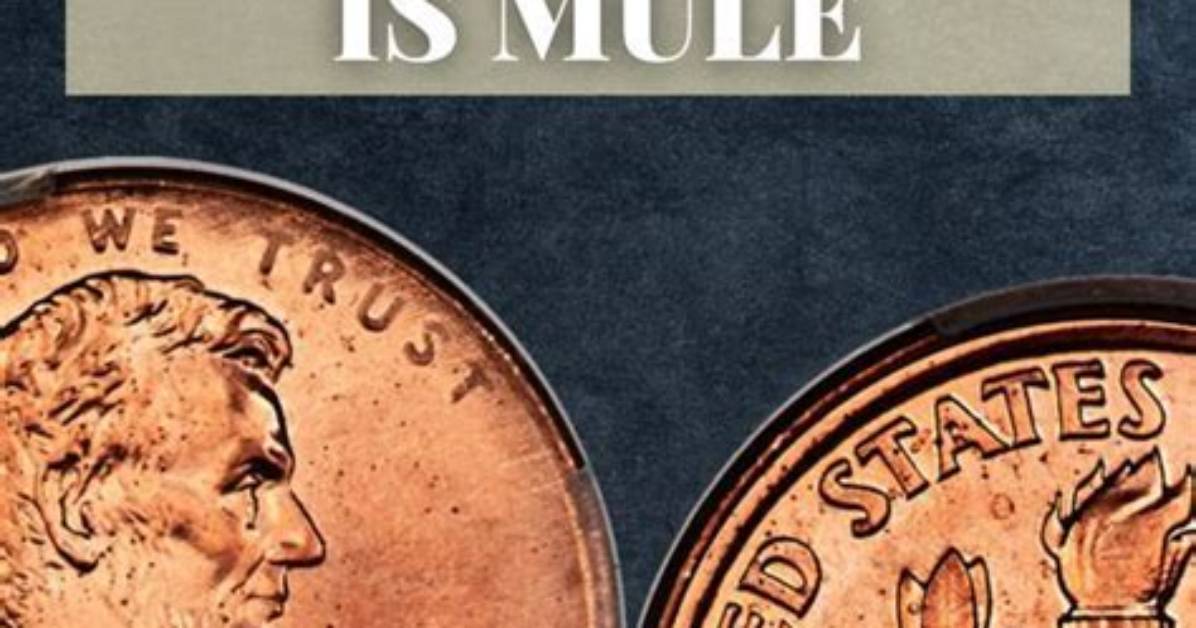 How Do You Tell If a Coin Is Copper or Zinc?