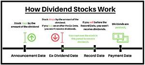 How Do You Tell If a Dividend Is Paid Quarterly or Monthly?
