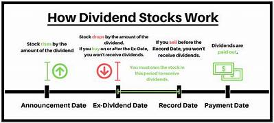 How Do You Tell If a Dividend Is Paid Quarterly or Monthly?