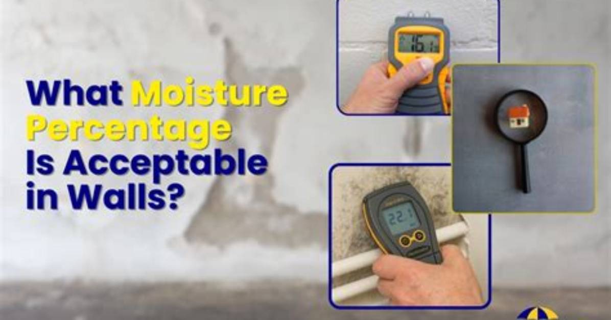 How Do You Treat Moisture in Walls?