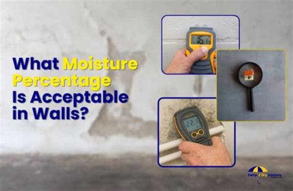 How Do You Treat Moisture in Walls?