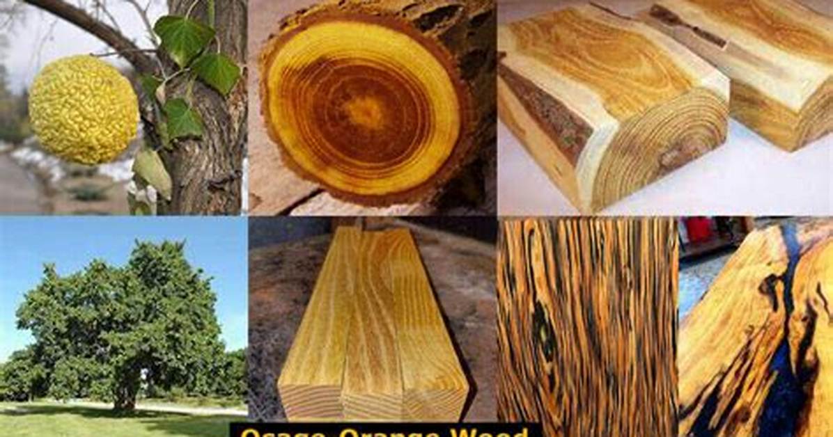 How Do You Use Orangewood?