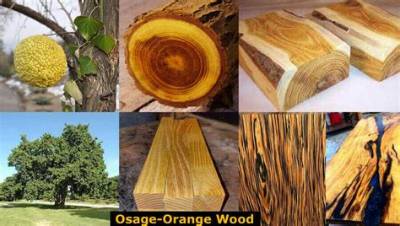How Do You Use Orangewood?