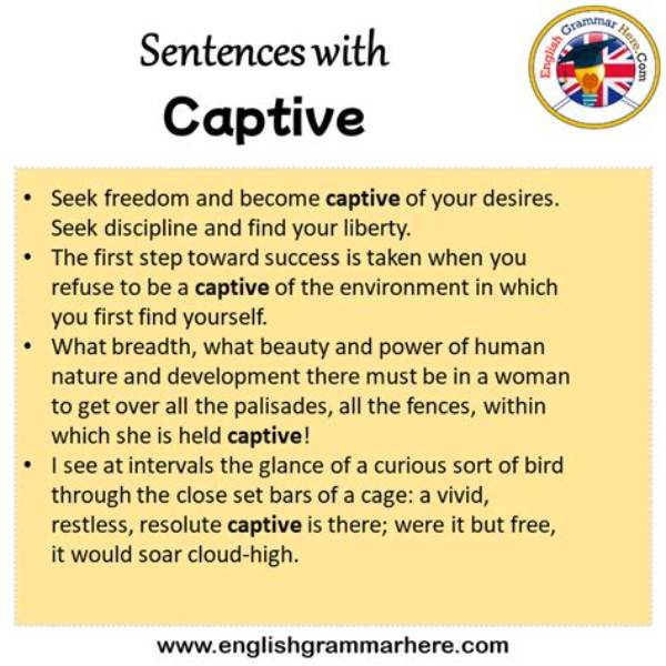 How Do You Write a Captive Sentence?