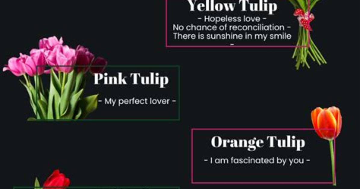 How Do You Write Tulip?