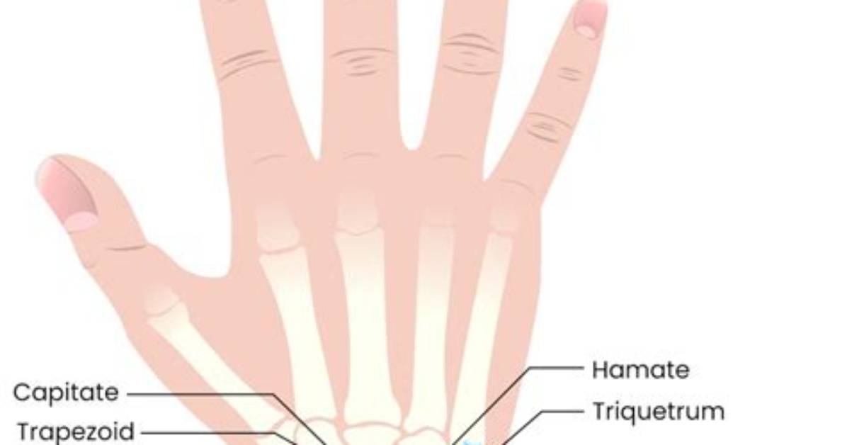How Does a Hand
