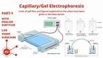 How Does Capillary Electrophoresis Work?