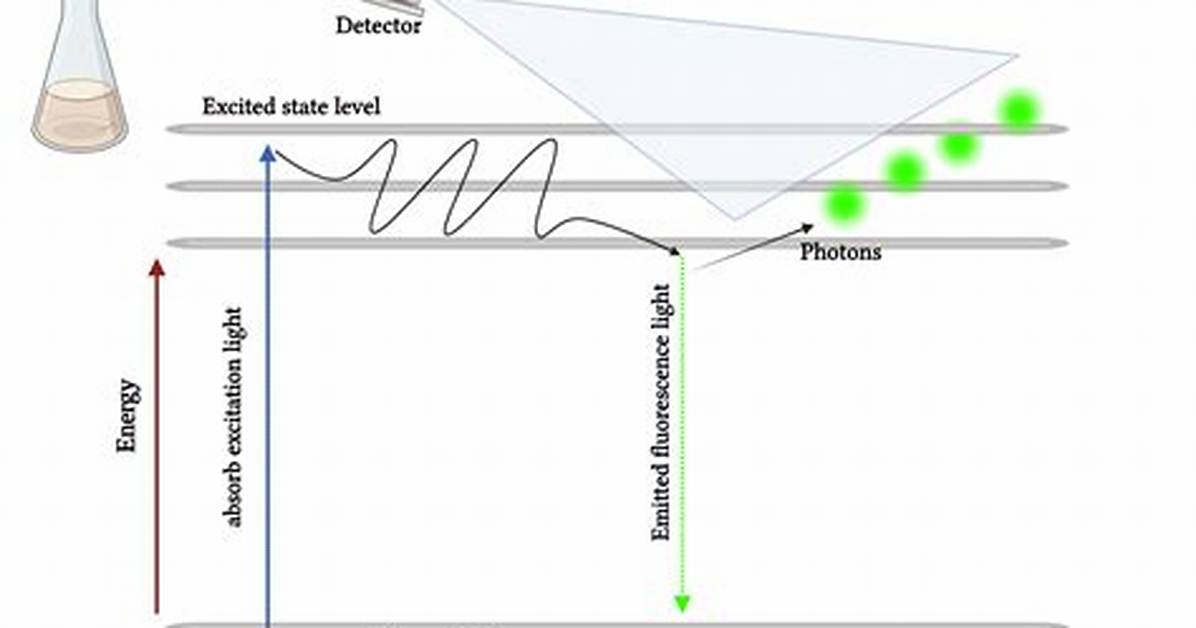 How Does Chemiluminescence Work - Lisbd-Net. Com