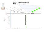 How Does Chemiluminescence Work - Lisbd-Net. Com