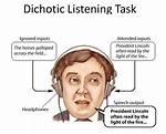 How Does Dichotic Listening Work Quizlet?