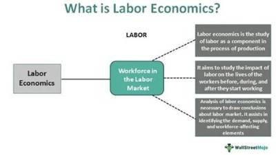 How Does Economics Define the Labor Force?