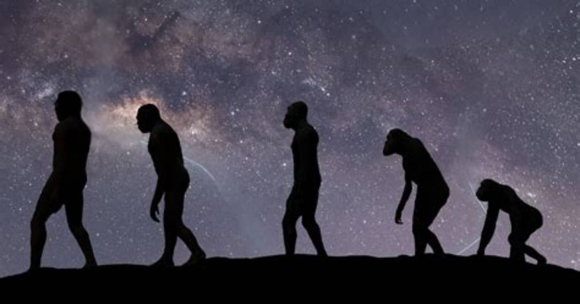 How Does History Develop Predictably over Time