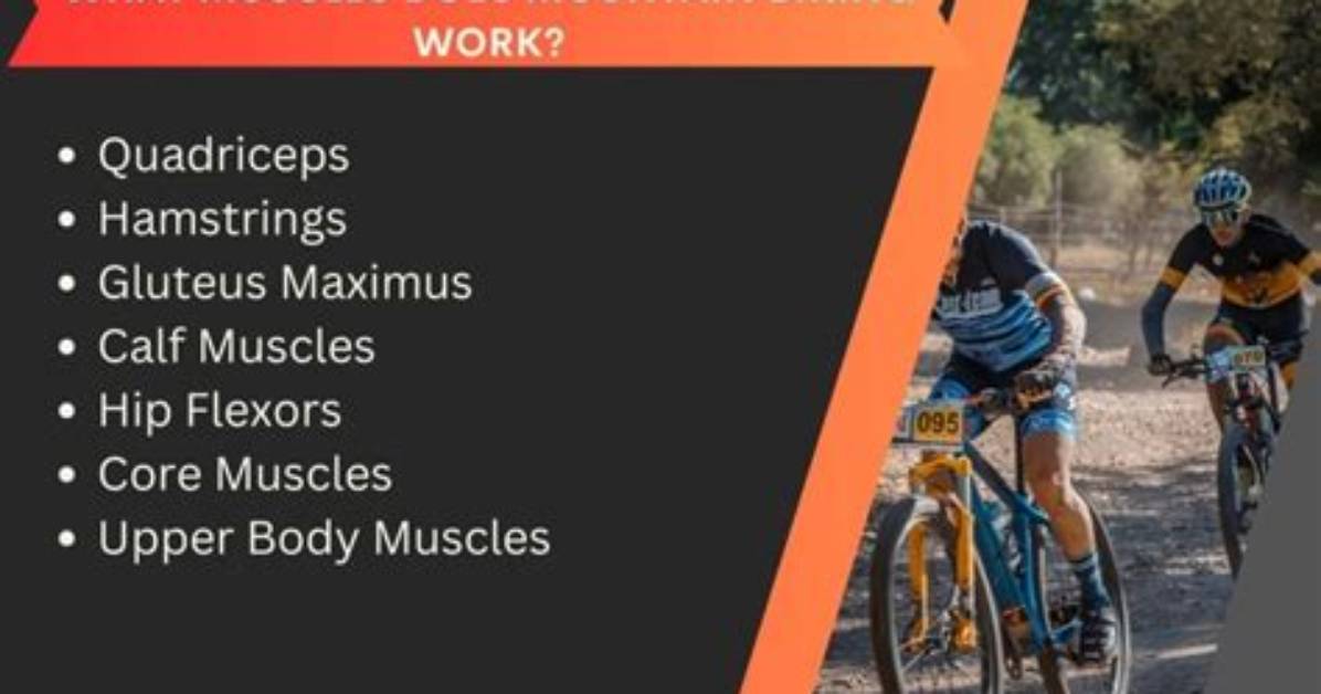 How Does Mountain Biking Change Your Body?