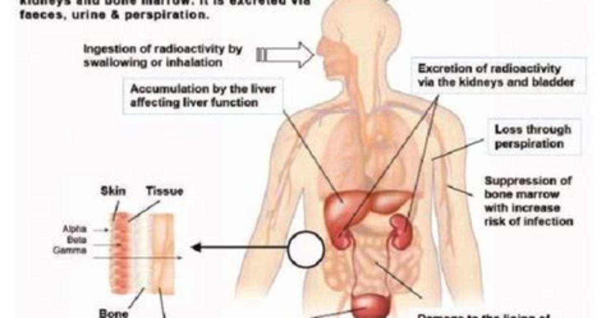 How Does Polonium Affect the Body?