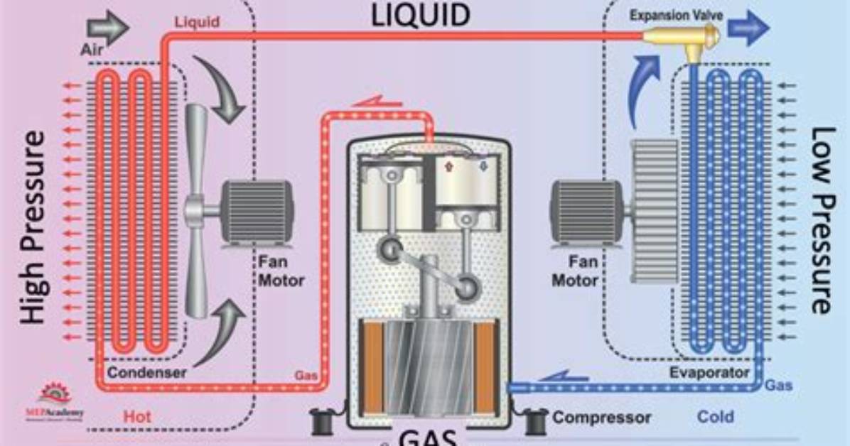 How Does Refrigeration Prevent or Delay the Spoilage of Foods?