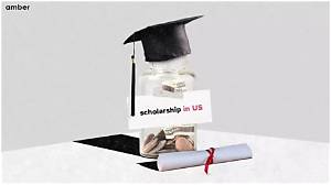 How Does Scholarship Work in Usa?