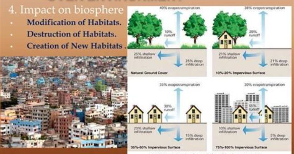 How Does Urbanization Affect Natural Resources