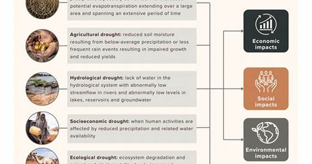 How Drought Affect Economy?