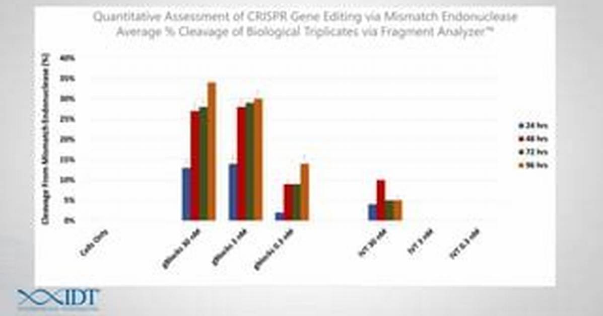 How Expensive Is Crispr - Lisbd-Net. Com