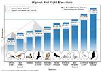 How Far Do Birds Fly in a Day
