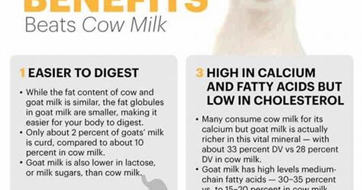 How Goat Milk Is Good for You?