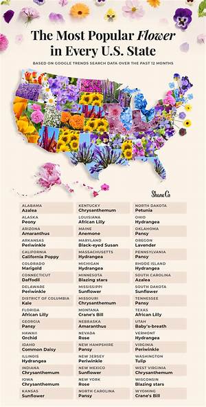 How Important Is the Flower to Us?